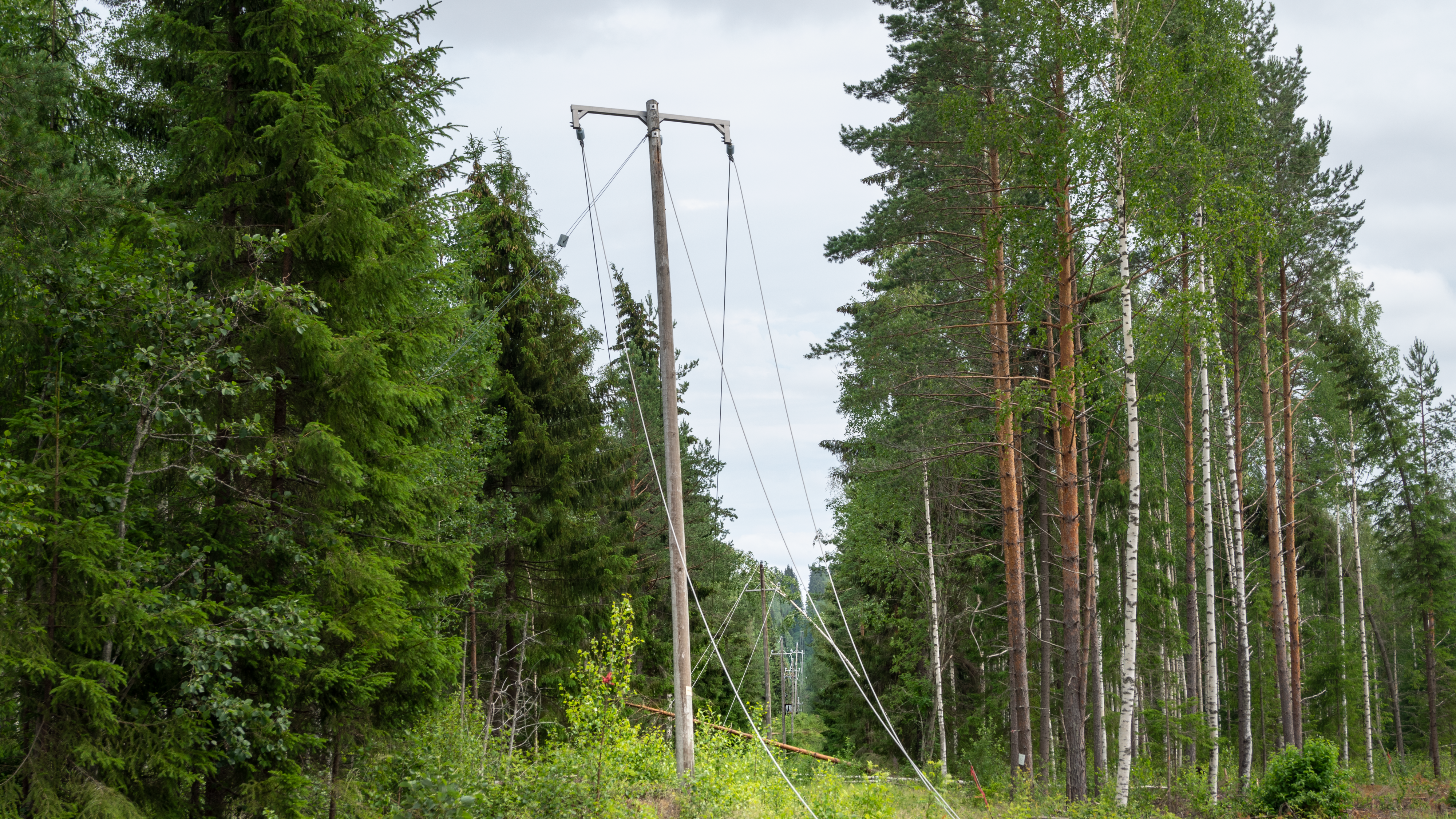 Sähkölinja poikki Hirvensalmella